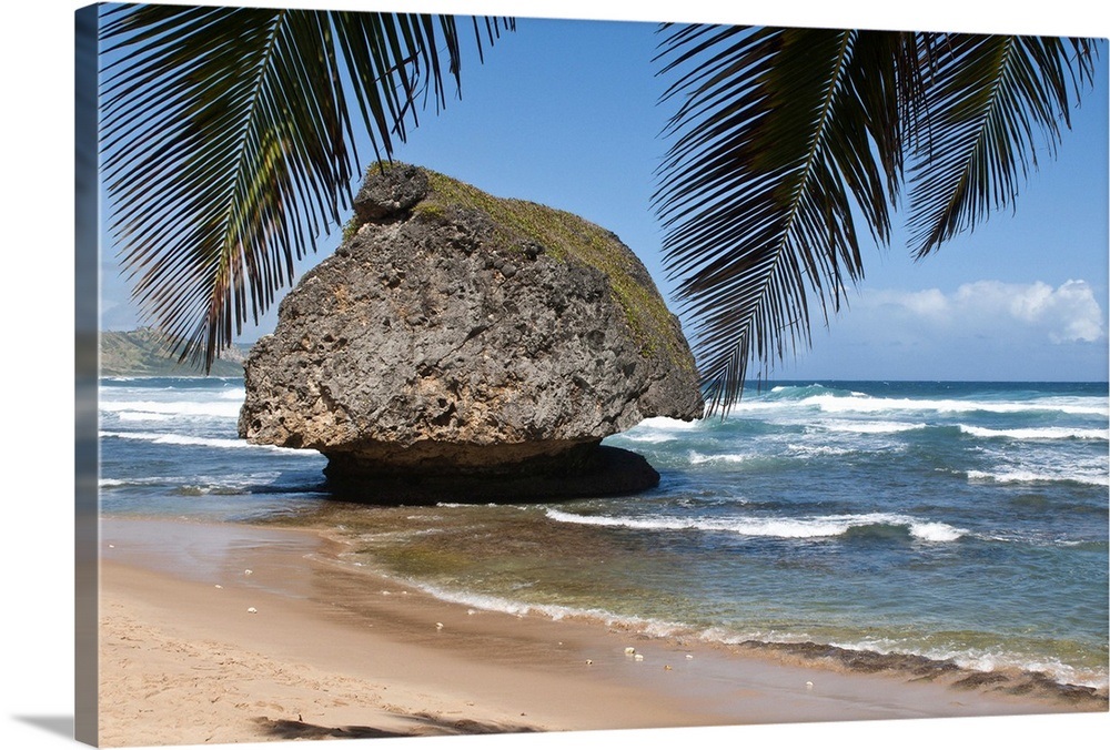 Bathsheba Beach Barbados, Caribbean Wall Art, Canvas Prints, Framed