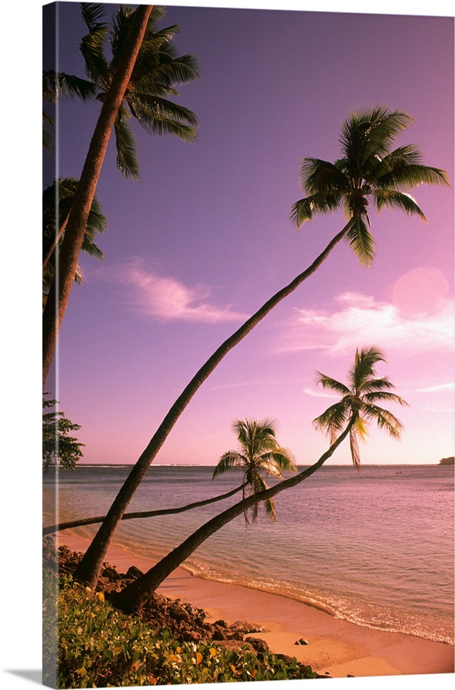 Beautiful Beach and Palms Nadi Bay Area in the Fiji Islands.