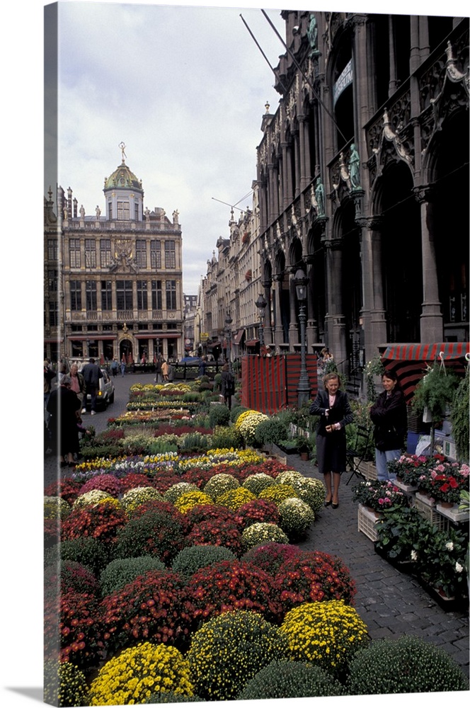 Europe, Belgium,  Brussels.Flower market, Grand Place