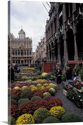 Belgium, Brussels, Flower market, Grand Place