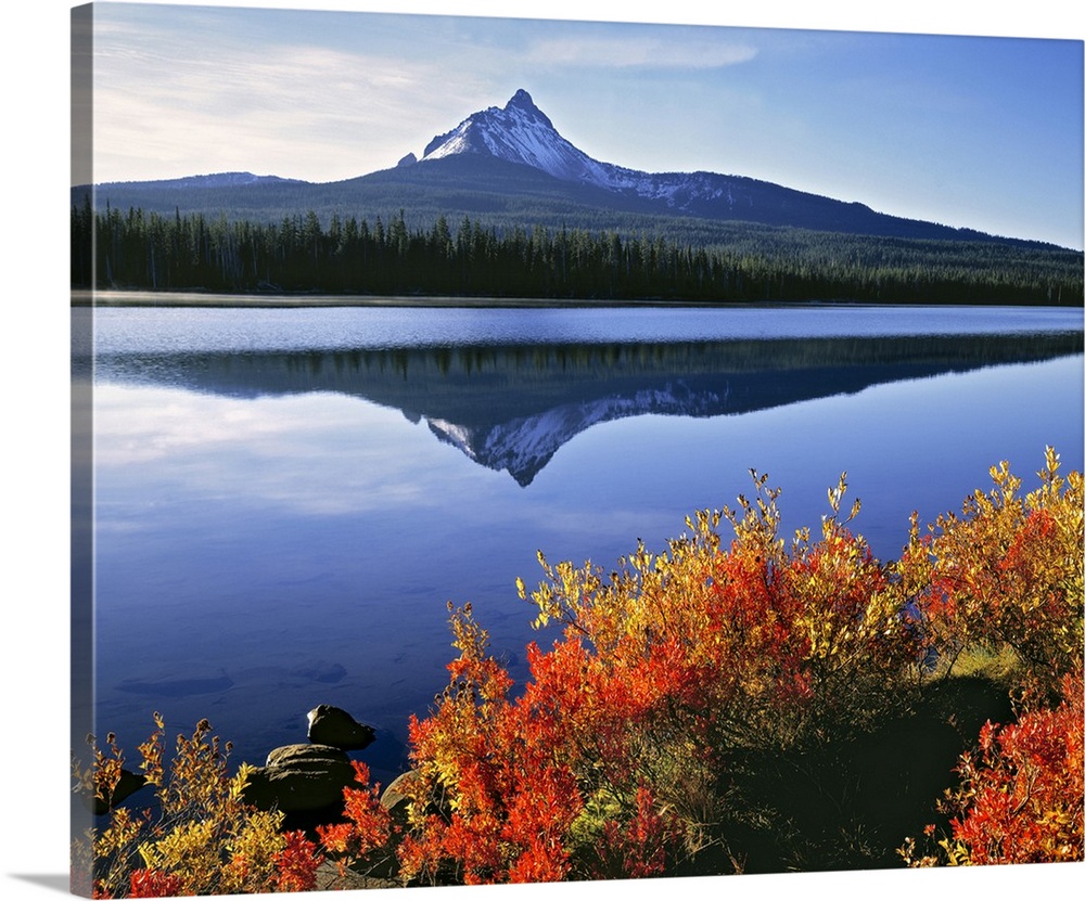 USA, Oregon, Big Lake and Mt Washington. Huckleberry leaves are touched by the orange of autumn, with Big Lake and Mt Wash...