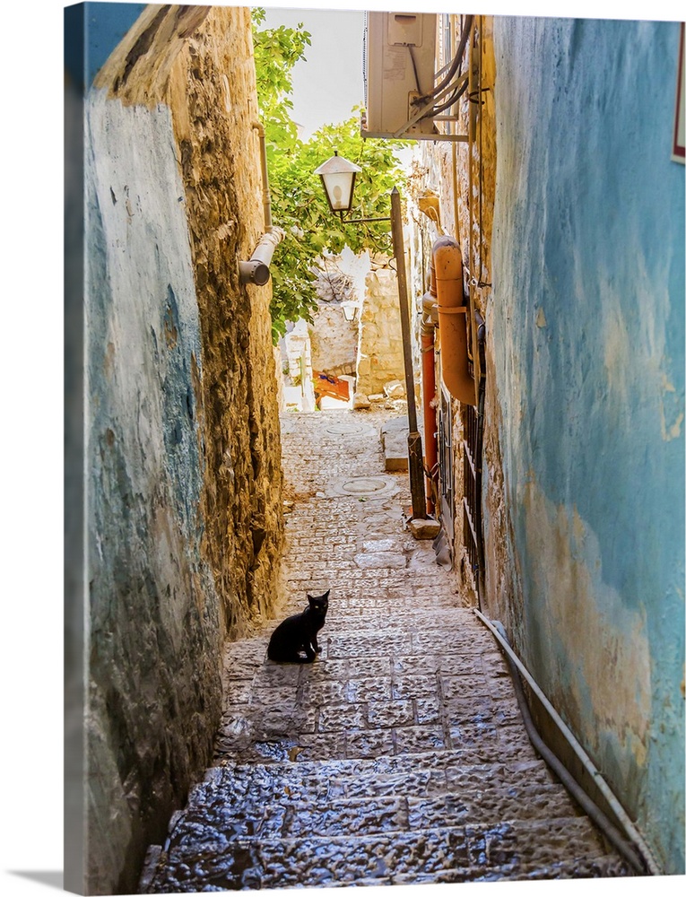 Old Stone Street Alleyway Black Cat Safed Tsefat Israel Many famouse synagogues located in Safed.