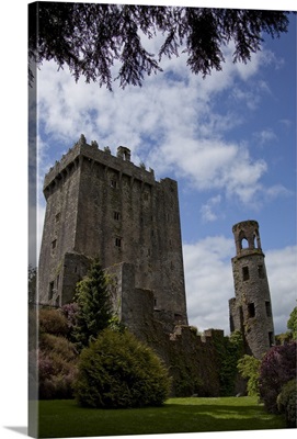 Blarney Castle framed by colored textured plants under blue sky with white puffy clouds