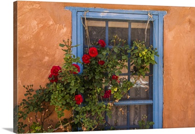 Blue Painted Lattice Wooden Window With A Red Rose Bush Against A Terra Cotta Wall