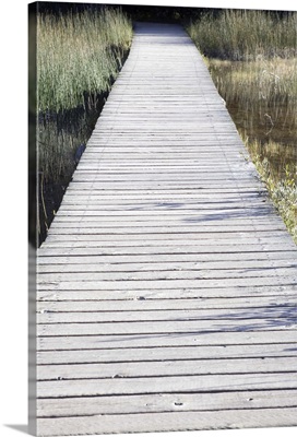Boardwalk over swamps near Laird River in Hotsprings Provincial Park in British Columbia