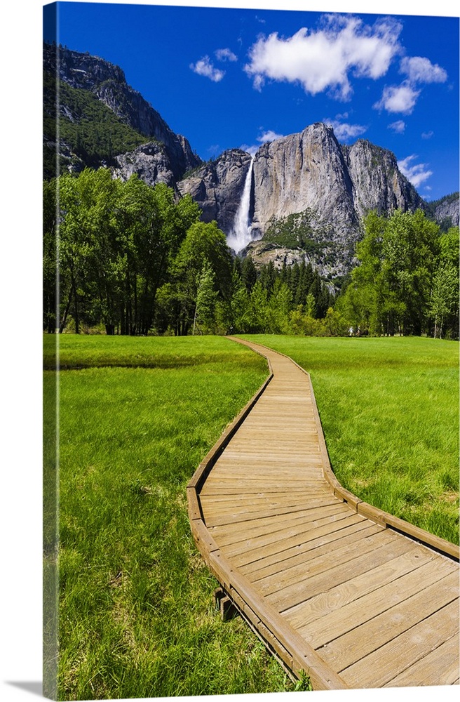 Boardwalk through meadow under Yosemite Falls, Yosemite National Park, California USA