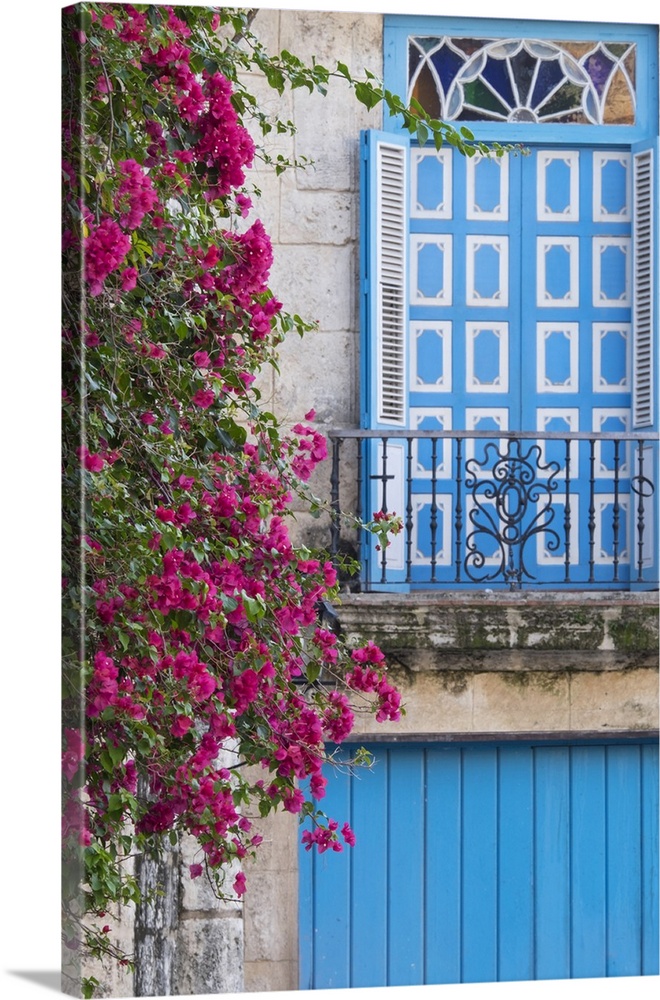 Cuba, Havana. Bougainvillea blooms near a balcony in the restored area of Old Town, Havana.