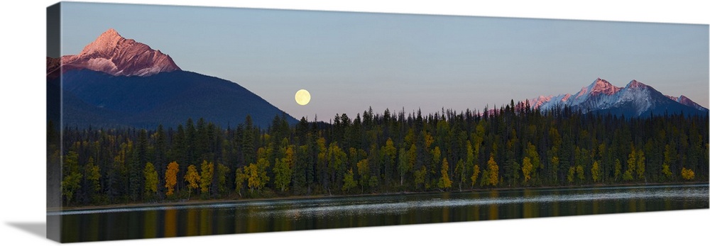 Canada, British Columbia, Bowron Lakes Provincial Park. Panorama of autumn color on Unna Lake, with full moon at sunset an...