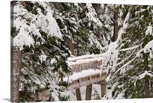 British Columbia, Whistler, Lost Lake trail for cross country and snowshoe in winter image thumbnail