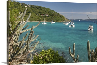 British Virgin Islands, Jost van Dyke, White Bay