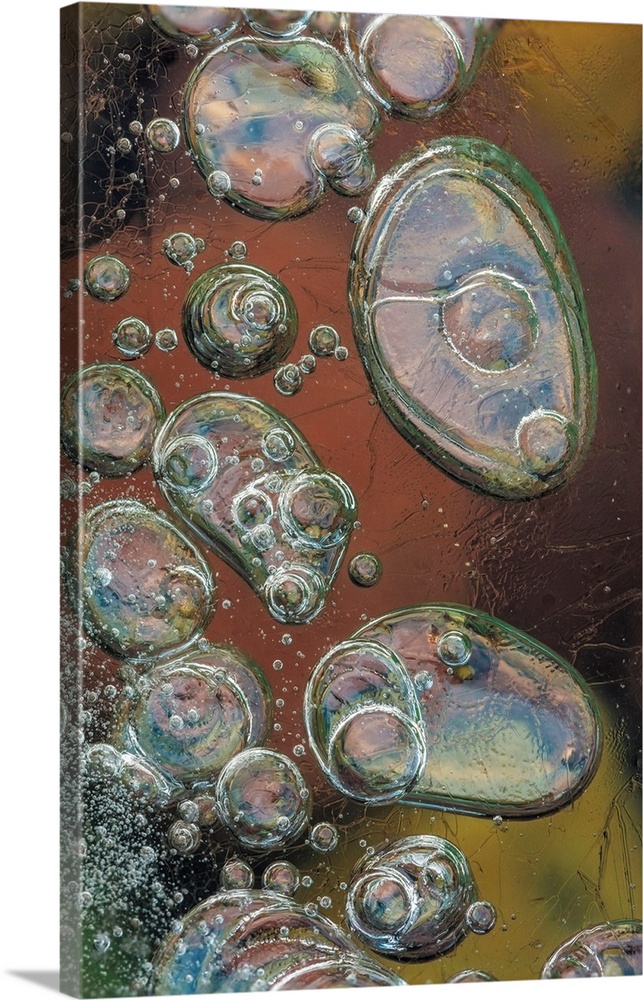 Macro of bubbles forming under ice along the edge of Lake McDonald in Glacier National Park, Montana, USA