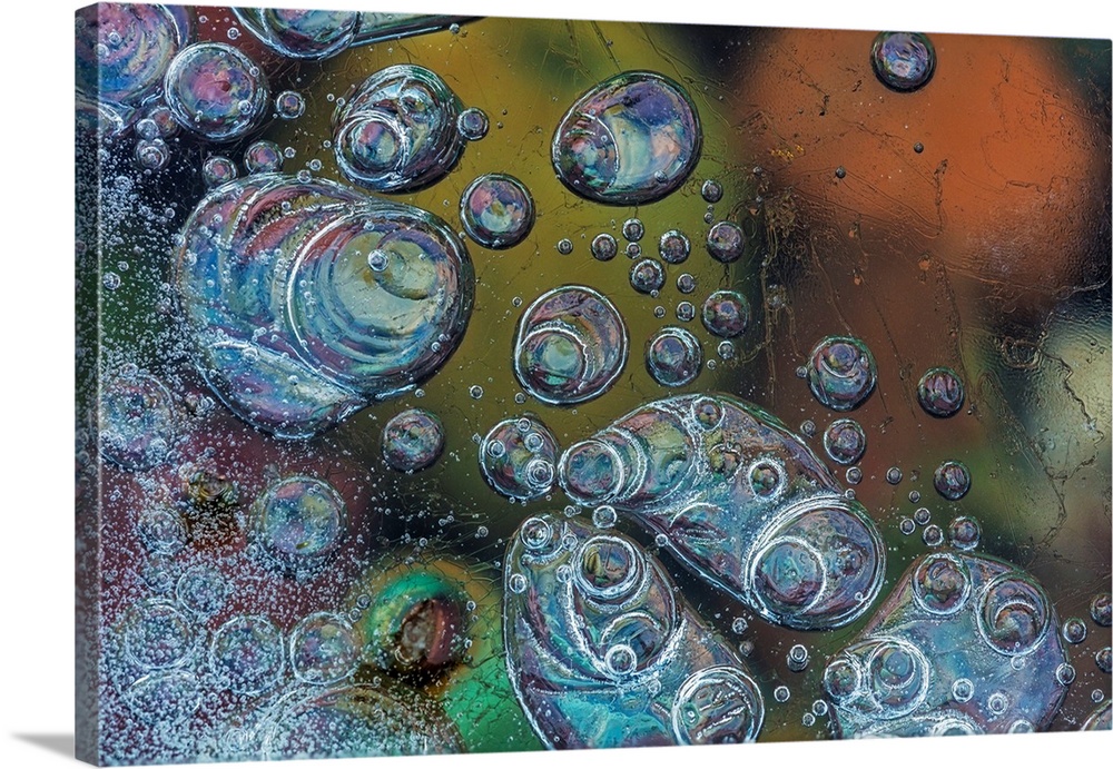 Macro of bubbles forming under ice along the edge of Lake McDonald in Glacier National Park, Montana, USA