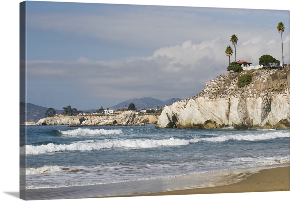 USA, CA, Pismo Beach, Pelican Point.  Brilliant sunshine day on central California coast. Profusion of Brown Pelicans perc...