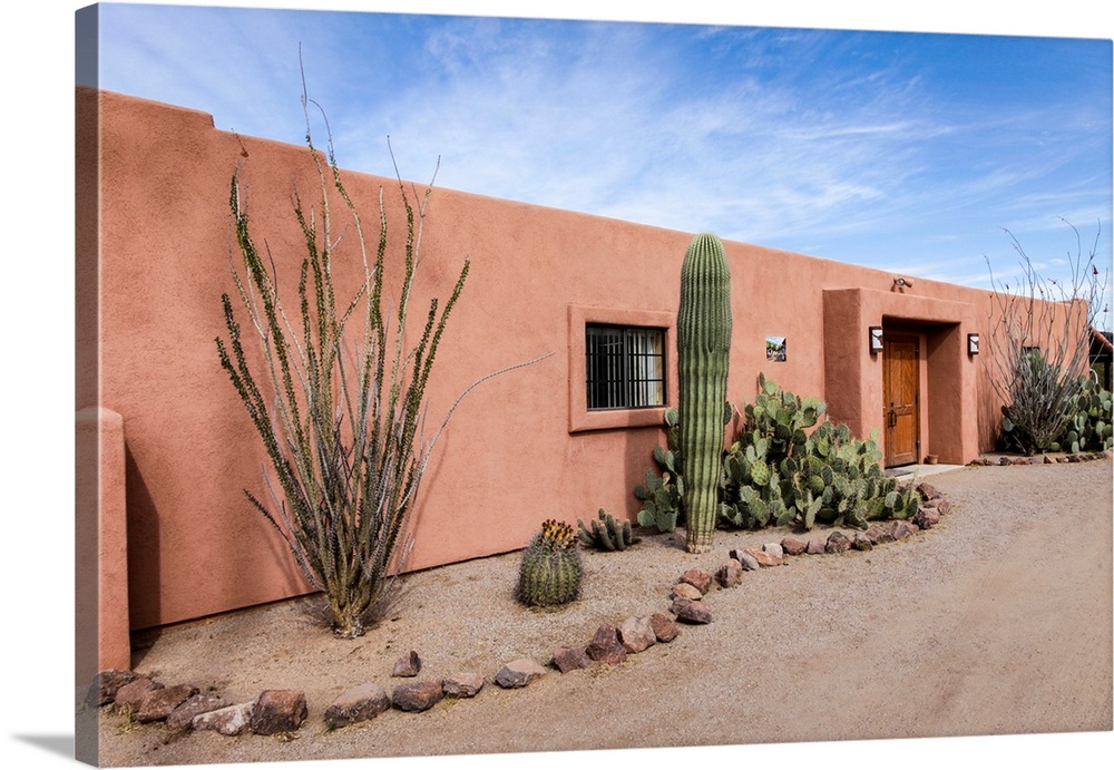 Cactus outside an adobe building, Tucson, Arizona, United States.