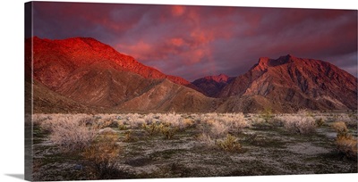 California, Anza-Borrego Desert State Park, Desert Landscape And Mountains At Sunrise