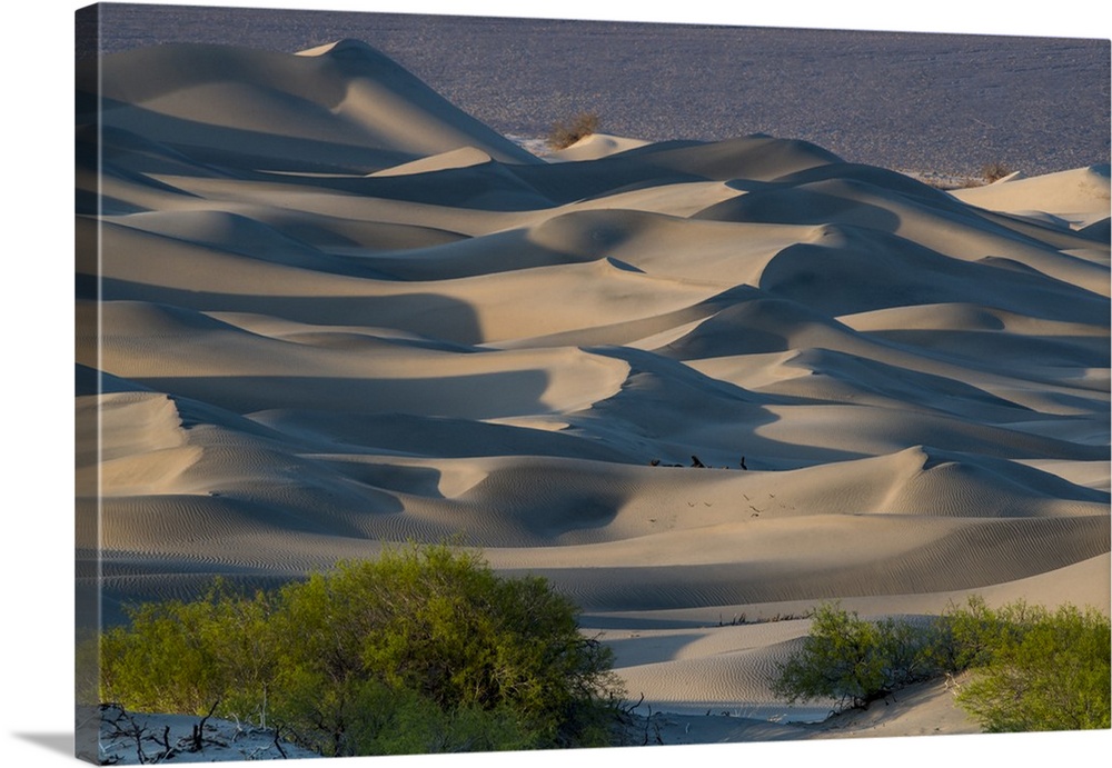 North America, USA, California, Death Valley National Park.  Sunset  shadow on sea of sand dunes, Mesquite  Dunes, Death V...