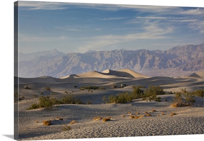 California, Death Valley National Park, Mesquite Flat Sand Dunes, late afternoon