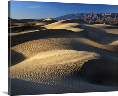 California, Death Valley National Park, Mojave Desert, sand dunes at sunset