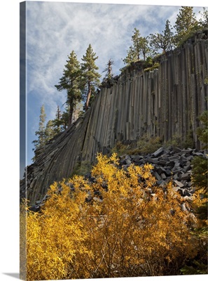 California, Eastern Sierra, Devils Postpile National Monument in autumn