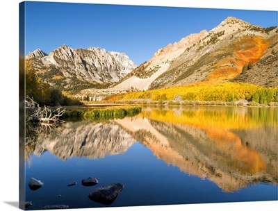 California, Eastern Sierra, Fall color reflected in North Lake