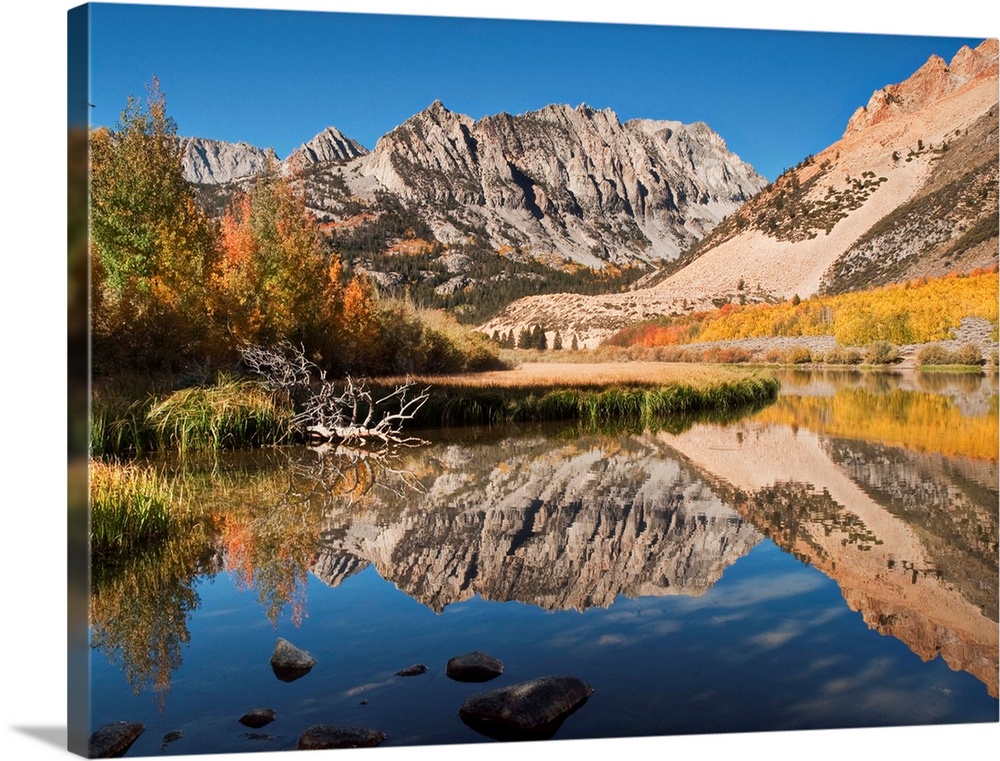 USA, California, Eastern Sierra, Fall color reflected in North Lake