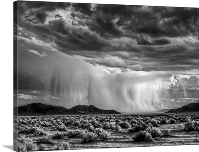 California, Mojave National Preserve, Desert rain squall at sunset