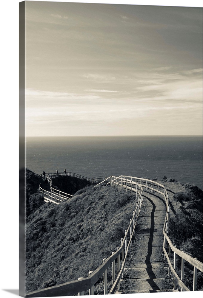 USA, California, San Francisco Bay Area, Marin Headlands, Golden Gate National Recreation Area, Muir Beach Overlook