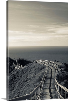 California, San Francisco Bay Area, Marin Headlands, Muir Beach Overlook