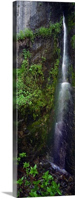 California, Sequoia National Park,  waterfall tumbles through Sequoia National Park