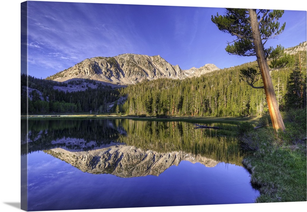 USA, California, Sierra Nevada Mountains. Calm reflections in Grass Lake.