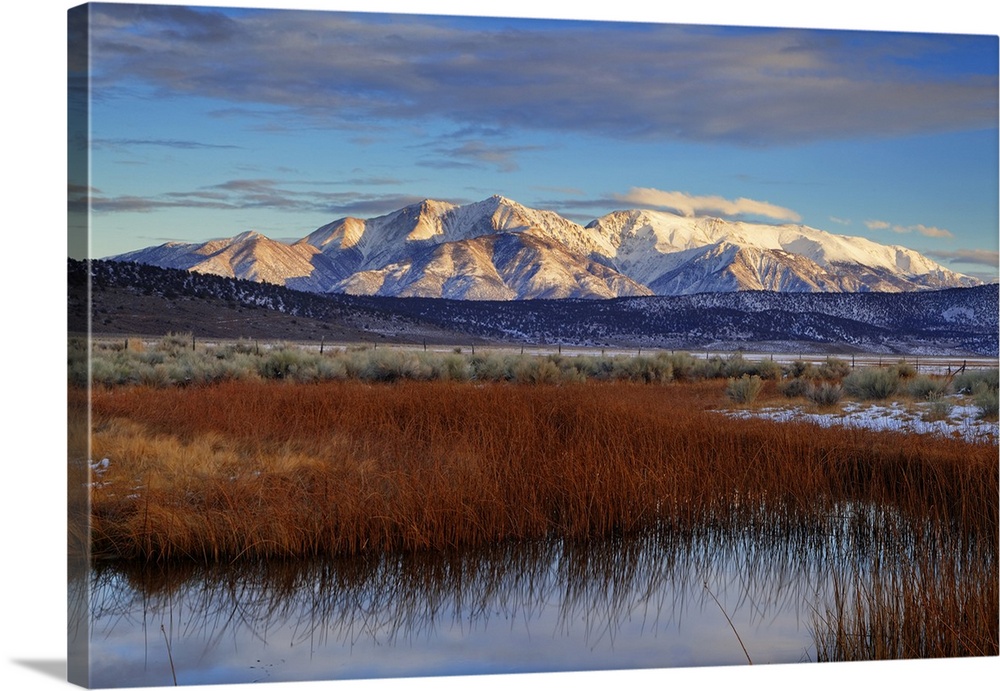 USA, California. White Mountains and reeds in pond. Credit: Dennis Flaherty / Jaynes Gallery