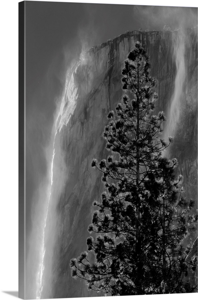 California, Yosemite National Park. El Capitan and waterfall.