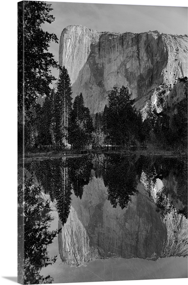 California, Yosemite National Park. El Capitan reflected in the Merced River.