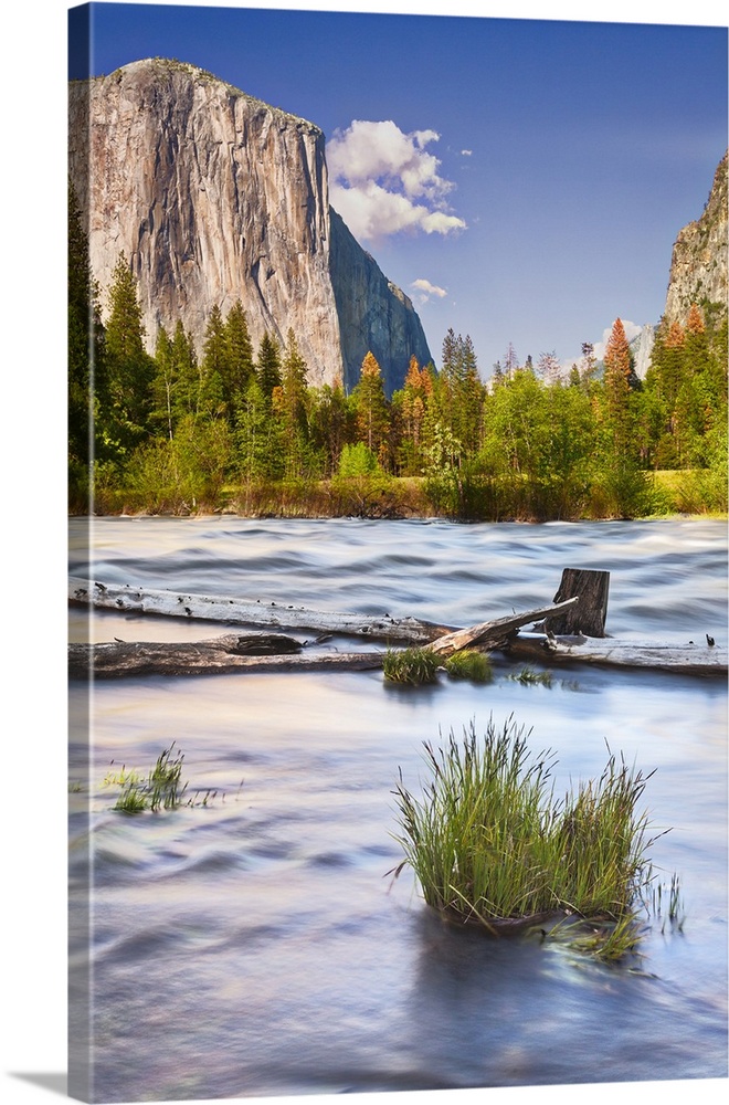 USA, California, Yosemite, Valley View