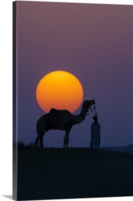Camel And Person At Sunset, Thar Desert, Rajasthan, India