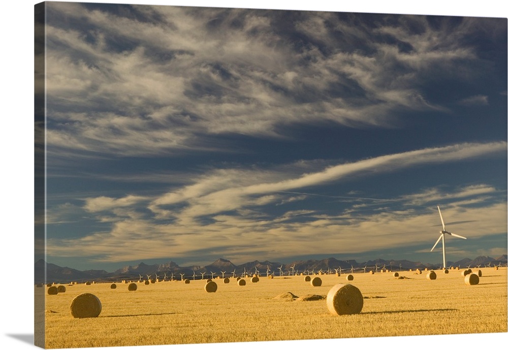 Canada, Alberta, Crowsnest Pass Area, Cowley Ridge Wind Farm Landscape with Hayrolls