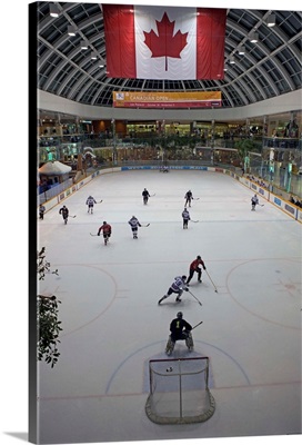 Canada, Alberta, Edmonton, West Edmonton Mall, Ice Palace, Mall Hockey Rink