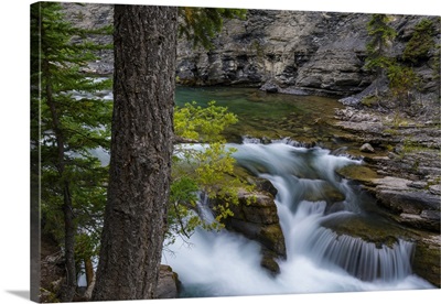 Canada, Alberta, Jasper National Park, Maligne Canyon Waterfall