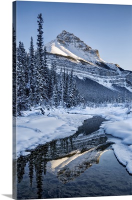 Canada, Alberta, Jasper National Park, Tangle Peak Reflected In Beauty Creek