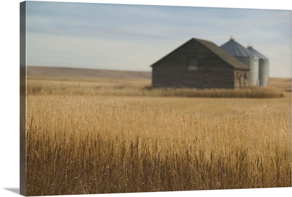 Canada, Alberta, Rosebud, Grain Barn, Wheat Farm