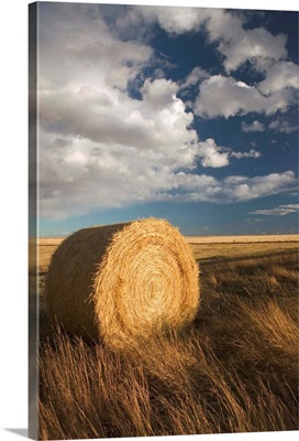 Canada, Alberta, Stand Off, Landscape with Dramatic Sky and Hay Roll