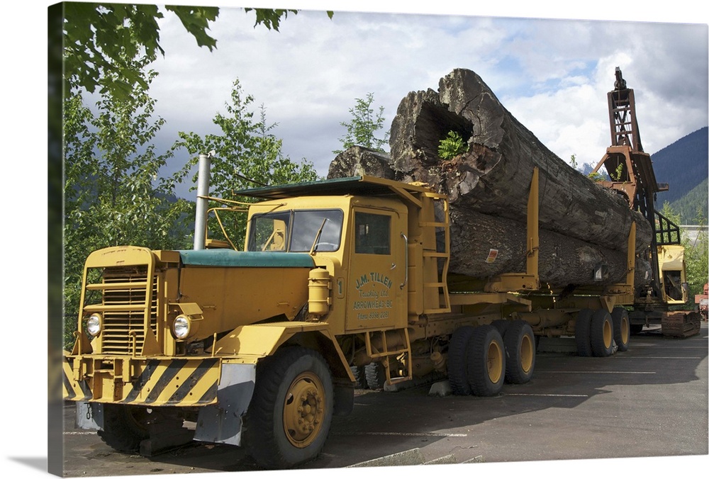 Canada: British Columbia, Revelstoke Forestry Museum, outdoors exhibit of ancient trees on truck
