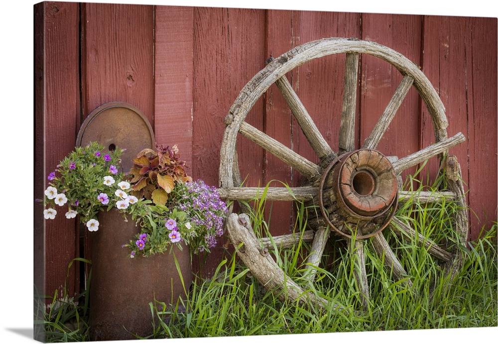 Canada, British Columbia, Cache Creek, Hat Creek Ranch. Vintage wagon wheel and flowers.