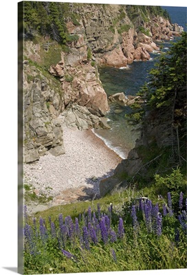 Canada, Nova Scotia, Cape Breton Island, Cabot Trail, Ingonish