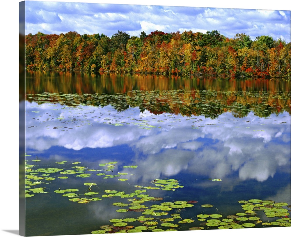 Canada, Ontario. Autumn-colored trees reflect in Park Haven Lake. Credit as: Dennis Flaherty / Jaynes Gallery / DanitaDeli...