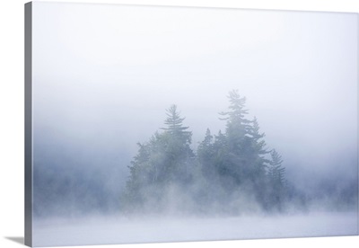 Canada, Quebec, Lake Long Pond, Island in morning fog