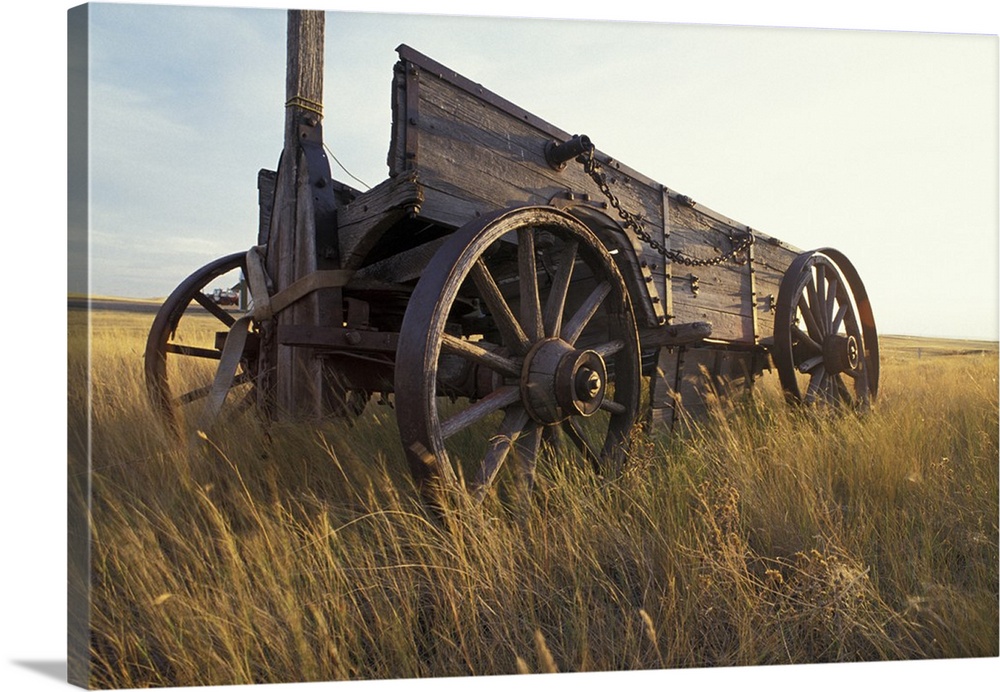 Canada, Saskatchewan, An old horse-drawn cart in a field near Maple Creek
