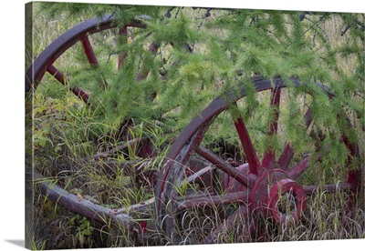 Canada, Yukon Territory. Old wagon wheels in grass.