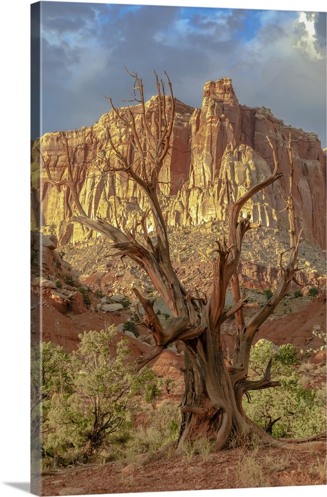 Capitol Reef National Park.