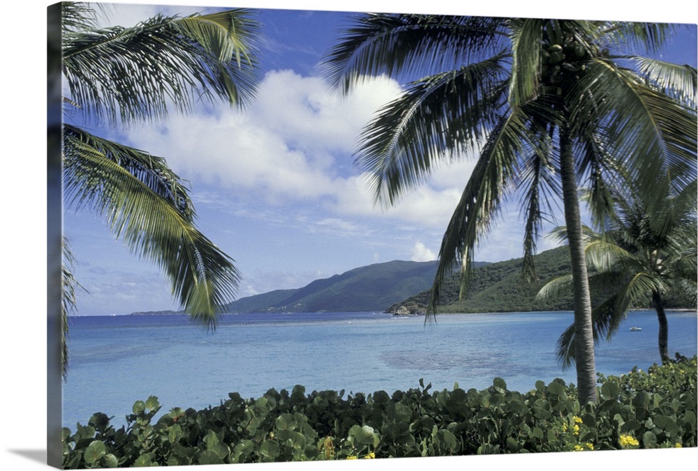 CARIBBEAN, British Virgin Islands, Virgin Gorda.Little Dix Bay through palm trees